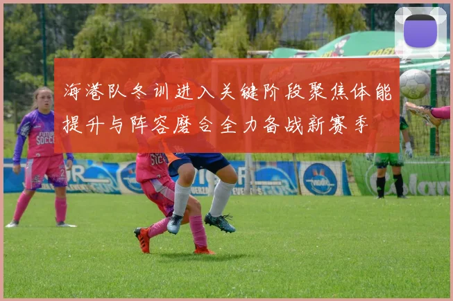 海港队冬训进入关键阶段聚焦体能提升与阵容磨合全力备战新赛季