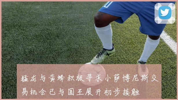 猛龙与黄蜂积极寻求小萨博尼斯交易机会已与国王展开初步接触